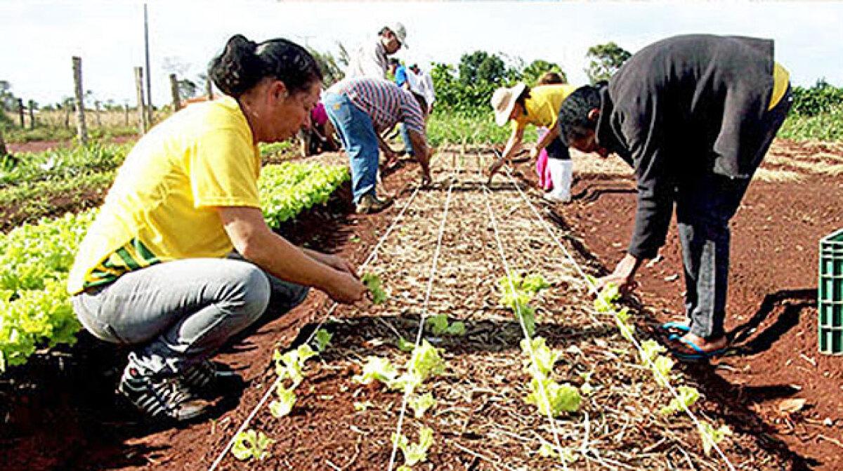 Senar MS abre 480 vagas para cursos técnicos Notícias de Campo Grande