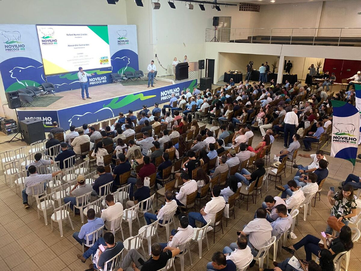 Novilho Precoce Ms Promove Encontro Na Expogrande Tema Pecu Ria Em