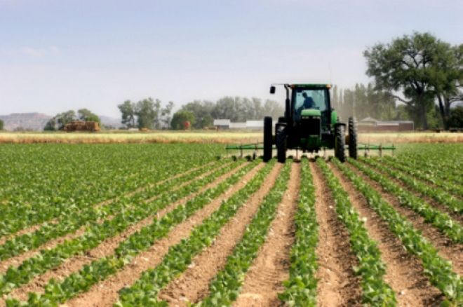 Valor da Produção Agropecuária é de R$ 481,6 bilhões em 2015