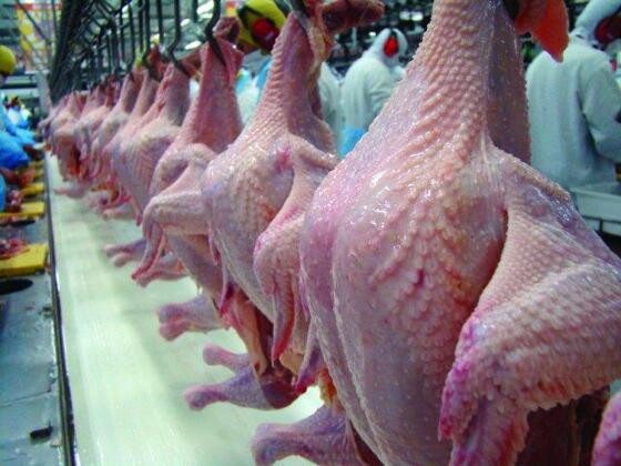 Carne de frango "in natura" e industrializada cresceu 329% em dez anos