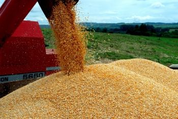 Brasil pode colher 202 milhões de toneladas de grãos