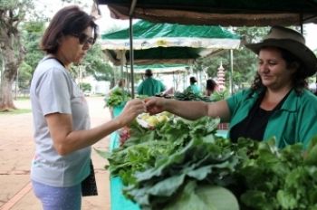 Feira de Org&acirc;nicos atrai consumidores da capital