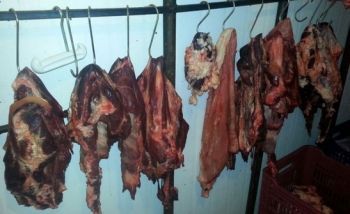Fiscaliza&ccedil;&atilde;o sanit&aacute;ria apreende 2 toneladas de produtos impr&oacute;prios