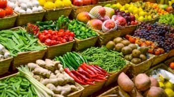 Semana dos organicos
