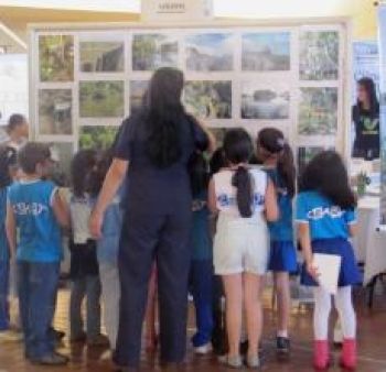 Semana do Meio Ambiente começa nesta segunda em Dourados