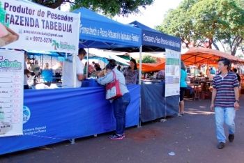 Feira Central de Dourados consegue autorização para venda de peixes