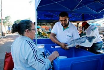 Feira Central de Dourados consegue autorização para venda de peixes