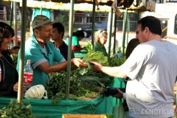 feira de organicos praca do radio