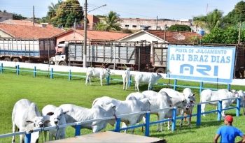 exposição paranaiba