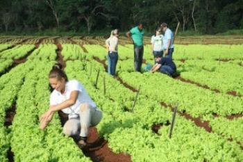 agricultura familiar