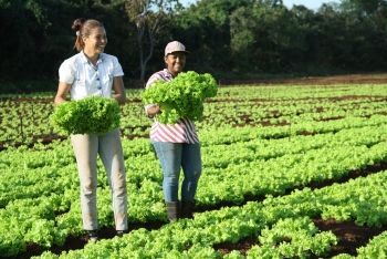 agricultura familiar