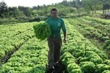 agricultura familiar