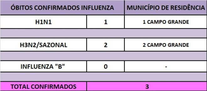 gripe H1N1