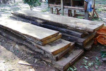 madeira ilegal