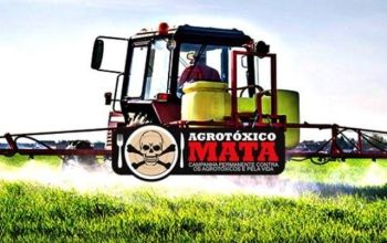 seminario, agrotoxicos