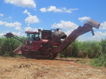 Segunda quinzena de agosto mantém em alta produtividade da cana-de-açúcar