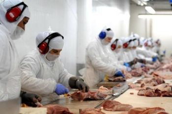 Em agosto exportações de carne bovina somam US$ 507 milhões