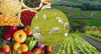 Produtores de alimentos brasileiros divulgam o pa&iacute;s na R&uacute;ssia