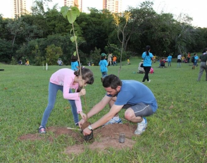 Prefeitura de Campo Grande realiza doação de mudas em comemoração ao Dia da Árvore