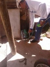 Saúde intensifica trabalho de combate ao mosquito da Dengue em Três Lagoas