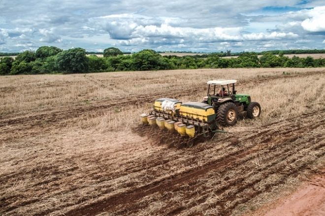 Alta no custo de produção e comercialização antecipada marcam plantio de soja em MS