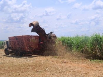 Setembro chuvoso atrasa moagem de cana-de-açúcar em MS