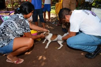 Prefeitura de Corumbá começa campanha de vacinação contra raiva animal