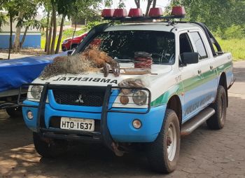 Polícia Militar Ambiental prende pescador por pesca predatória em Naviraí