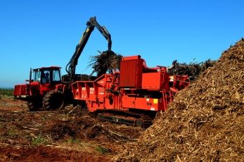 MS ganha destaque na geração de energia a partir da queima da madeira