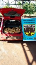 PMR prende traficante e dois batedores com mais de 280 quilos de maconha na MS-240