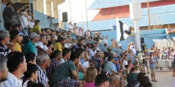 Cinco anos depois, Oper&aacute;rio est&aacute; perto do retorno &agrave; elite do futebol estadual