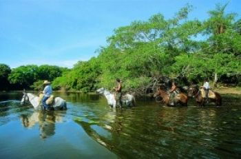 dia do Pantanal