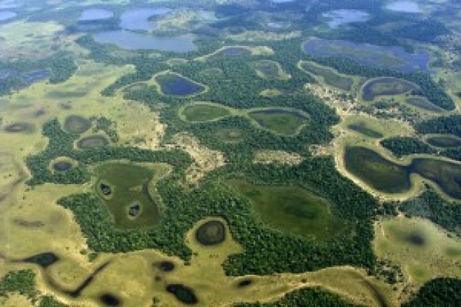 dia do Pantanal