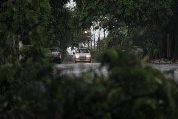 Defesa civil contabiliza 60 árvores caídas na Capital
