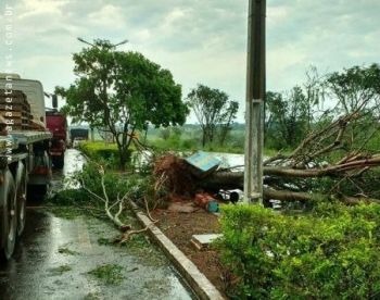 Tempestade provoca estragos e prejuízos em Amambai