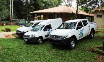 Em um ano, trabalho realizado pelo CRAS possibilita que 600 animais retornem à natureza