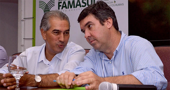 Voando alto no ninho tucano