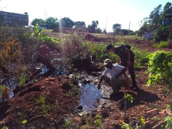 Combate ao Aedes aegypti continua e alcança 85 mil imóveis