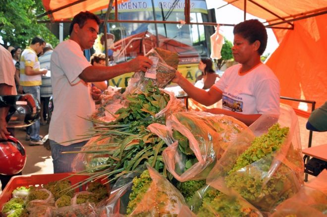 Foto ilustrativa de feira, produtos orgânicos, alface, hortifrúti