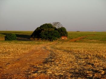 Foto ilustrativa de fazenda, sítio, chácara, estância, rural, agronegócio