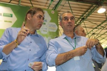 Bernal e Azambuja