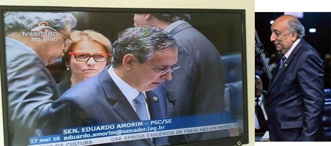 Coluna Marco Eus&eacute;bio
