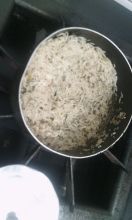 Suspeitos invadem Ceinf e preparam comida em Campo Grande