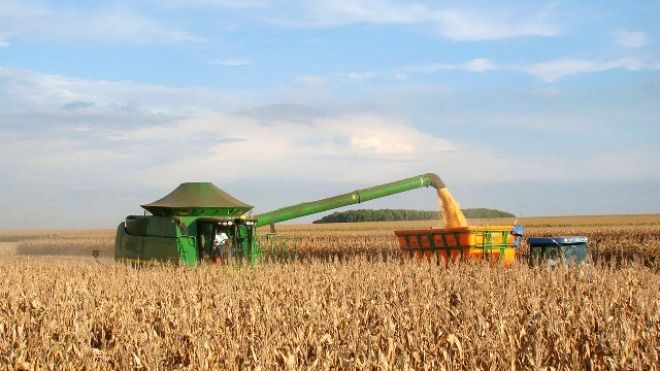 Informativo Casa Rural aponta que o milho atingiu R$ 36,56/sc