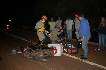 Animal morre na MS 376 após ser atingido por motocicleta