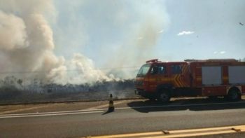 Bombeiros levam 5 horas para controlar incêndio em rodovia de Três Lagoas