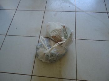 Homem é preso com carne ilegal de jacaré e armazenamento ilegal de combustível