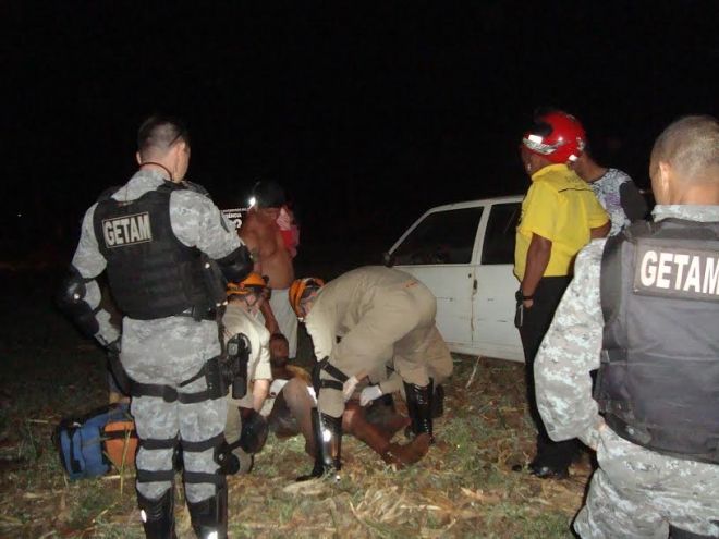 Tamanduá ataca homem durante tentativa de salvar cachorro 