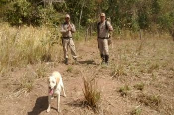 Corpo de Bombeiros buscam, com auxilio de cães, por morador desaparecido
