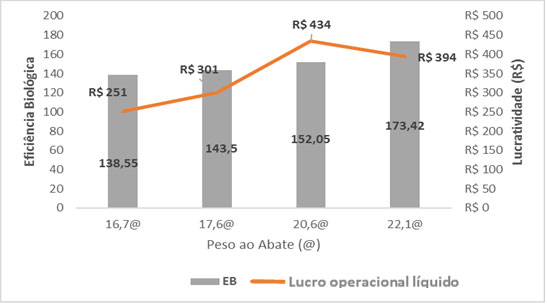 Ponto de abate: qual &eacute; o ideal?